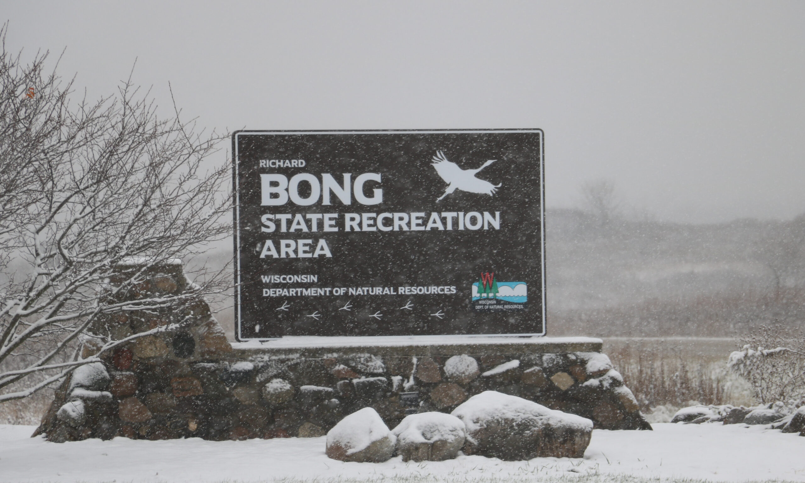 Events For August 2024 BNA Bong Naturalist Association   Winter Sign 1 Scaled 